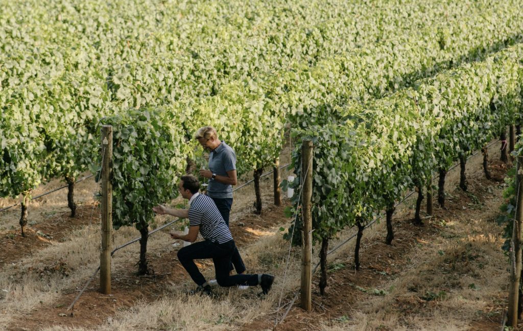 Two men in a vineyard, with one kneeling down and looking at the grapes. 